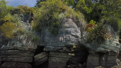 Rock formations know as the Pancake Rocks at the town of Raglan,New Zealand Stock Footage 142292779