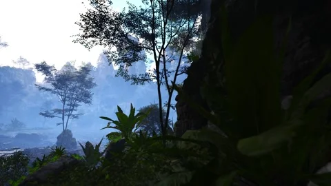 Rock formations in the morning forest Stock Footage 321597697