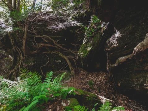 Rock Formation(s) - Nook Stock Photos