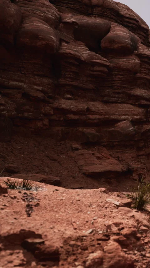 Rock formations with a small insect on the ground in a natural setting Stock Footage 346758915