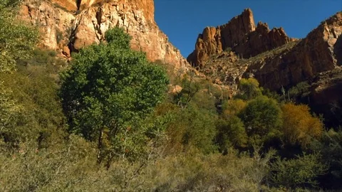 Rock formations surrounded by trees and bushes. Stock Footage 88406501