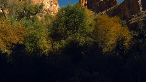 Rock formations surrounded by trees and bushes. Stock Footage 88406518