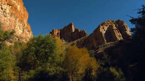 Rock formations surrounded by trees and bushes. Stock Footage 88406544