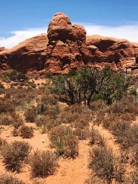 Rock formations on the Window Loop trail in Arches National Park Stock Photos