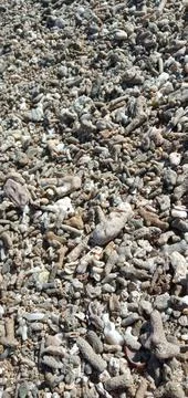 Rock Fragments Stock Photos