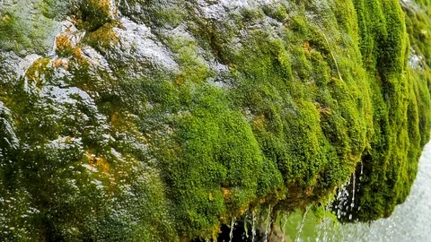 Rock full of green moss under water waterfall in slow motion Stock Footage 124389971