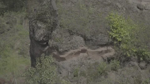 Rock Garden Cliff With Fresh Spring Foliage 01 Stock Footage 346264076
