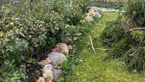 A rock garden with a path in the middle Stock Photos