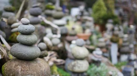 Rock garden Stock Photos