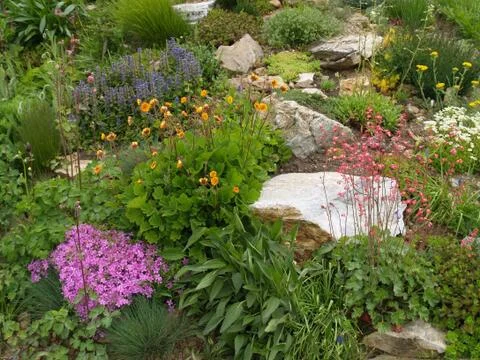 Rock garden in the spring Stock Photos