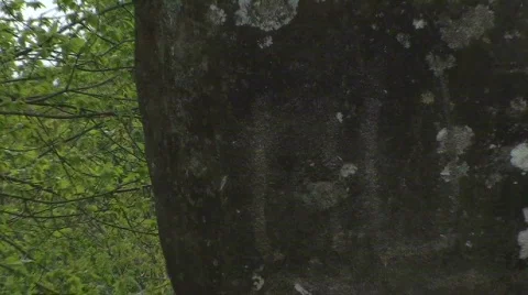 Rock giant Stock Footage