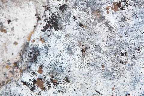 Rock as gray background Stock Photos