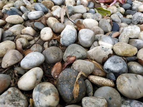 Rock on the ground Stock Photos
