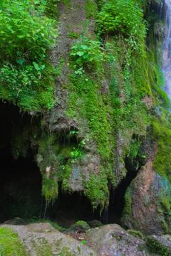 Rock head Stock Photos