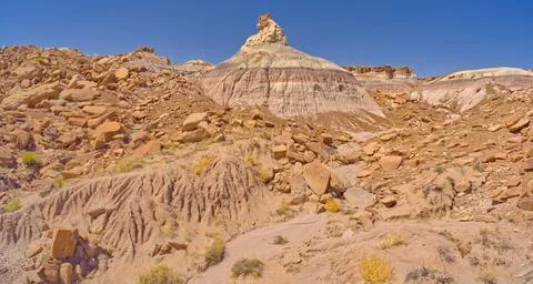 A rock hoodoo shaped like a horse head, along the base of Blue Mesa in Petrified Stock Photos
