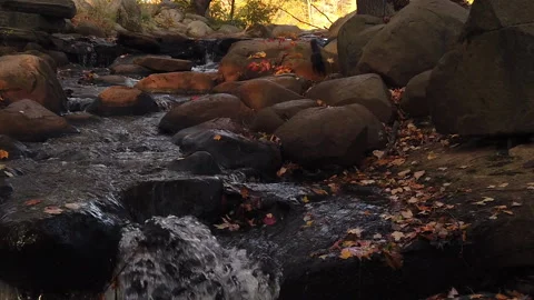 Rock Hopping Squirrel Crosses Canopy Shaded Flowing Brook in Slow motion footage Stock Footage 149088686