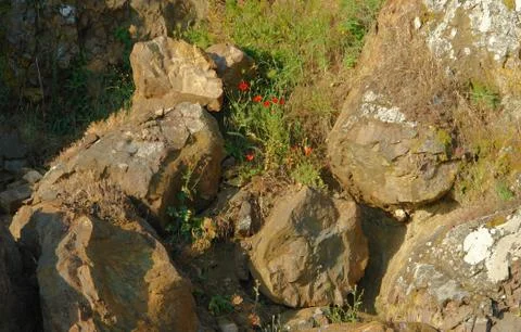 Rock igneous Stock Photos