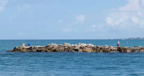 Rock Jetty in Ocean Stock Footage 161035355