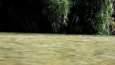 The rock jumper Stock Footage 247976584