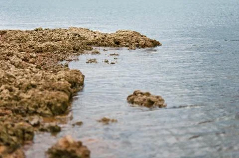 The rock in the lake Stock Photos