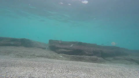 Rock ledges on the sandy seabed Stock Footage 171367749