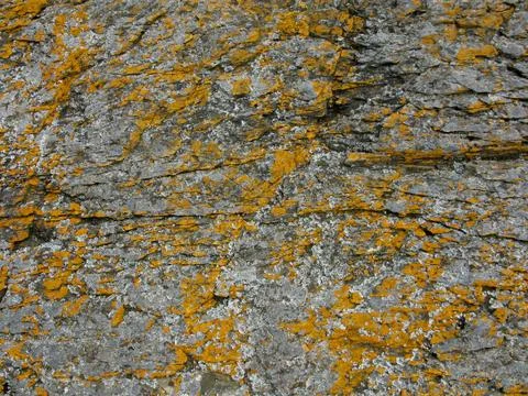 Rock with lichen Stock Photos
