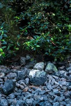 Rock on light Stock Photos