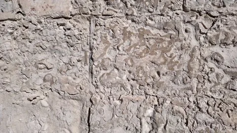 Rock limestone wall closeup macro Stockbeeldmateriaal 317177844