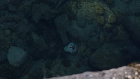 Rock With A Mark Of A Needle And An X At The Bottom Of The Lake. Anti-Drug Stock Footage 312250565