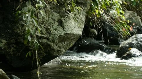 A rock is in the middle of a stream Stock Photos