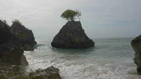 A rock in the middle of the water with a tree on it, by the sea, in Indonesia Stock Footage 222388055