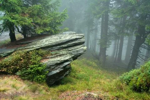 Rock in mist of forest Stock Photos