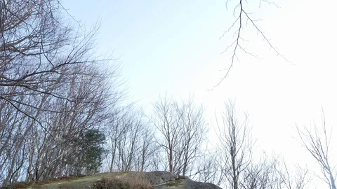 The rock monastery in the forest Stock Footage 120615376