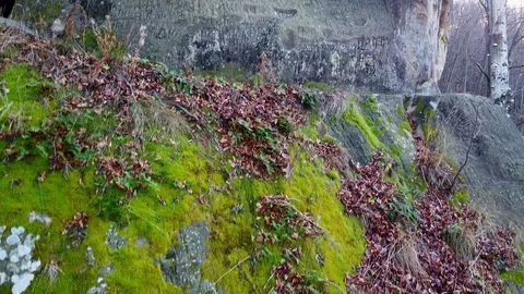 The rock monastery in the forest Stock Footage 120615407