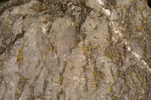 Rock with moss stone texture,rock pattern Stock Photos