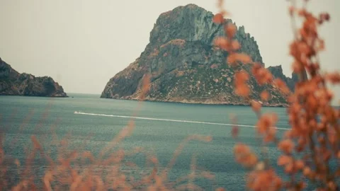 Rock Mountain backround (focused) leaves foreground (unfocused) Vídeos de archivo 229193025