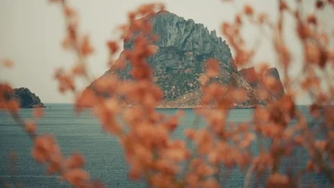Rock mountain in the backround (focused) leaves in the foreground (unfocused) Vídeos de archivo 229193036
