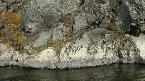 The Rock on the move. Stock Footage 8908621