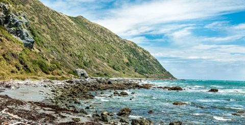 Rock New Zealand Coastline Stock Photos