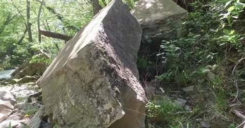 Rock - object in forest. Low angle view. Stock Footage 75749843