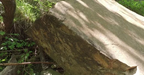 Rock - object in forest. Low angle view. Stock Footage 75750805