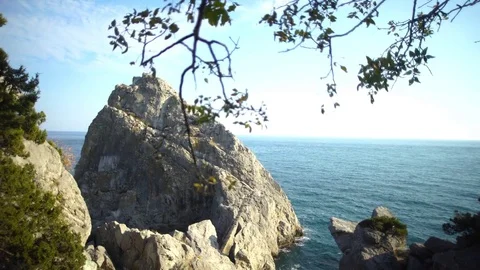 Rock by the ocean through the trees Video stock 81712774