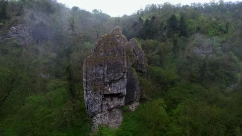 Rock Old forest remains 스톡 동영상 244309098