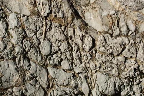 Rock or Stone  surface as  background texture 스톡 일러스트