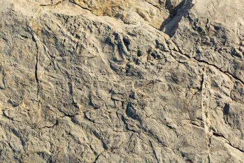 Rock or Stone  surface as  background texture Illustrazione stock