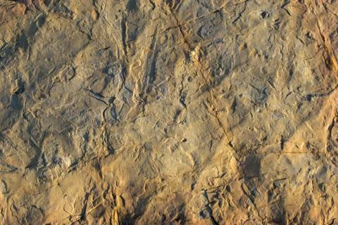 Rock or Stone  surface as  background texture Stock Photos