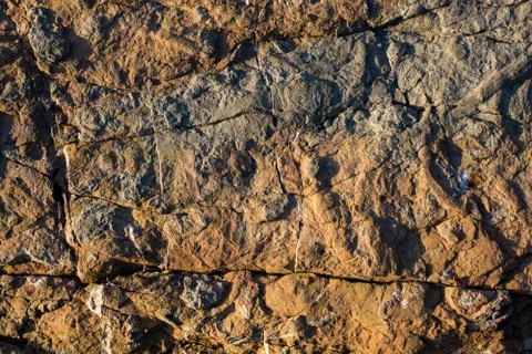 Rock or Stone  surface as  background texture Stock Photos