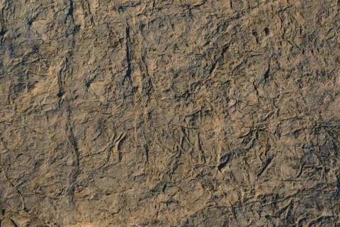 Rock or Stone  surface as  background texture Stock Photos