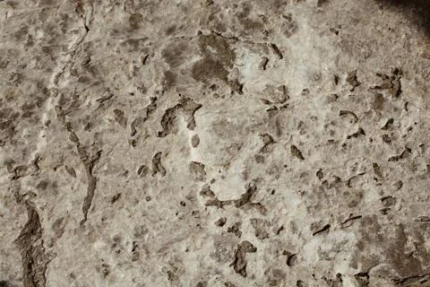 Rock or Stone  surface as  background texture Stock Photos