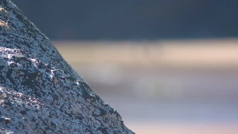 Rock on the Oregon Coast Stock Footage 91014833